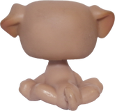 #0002 Pug